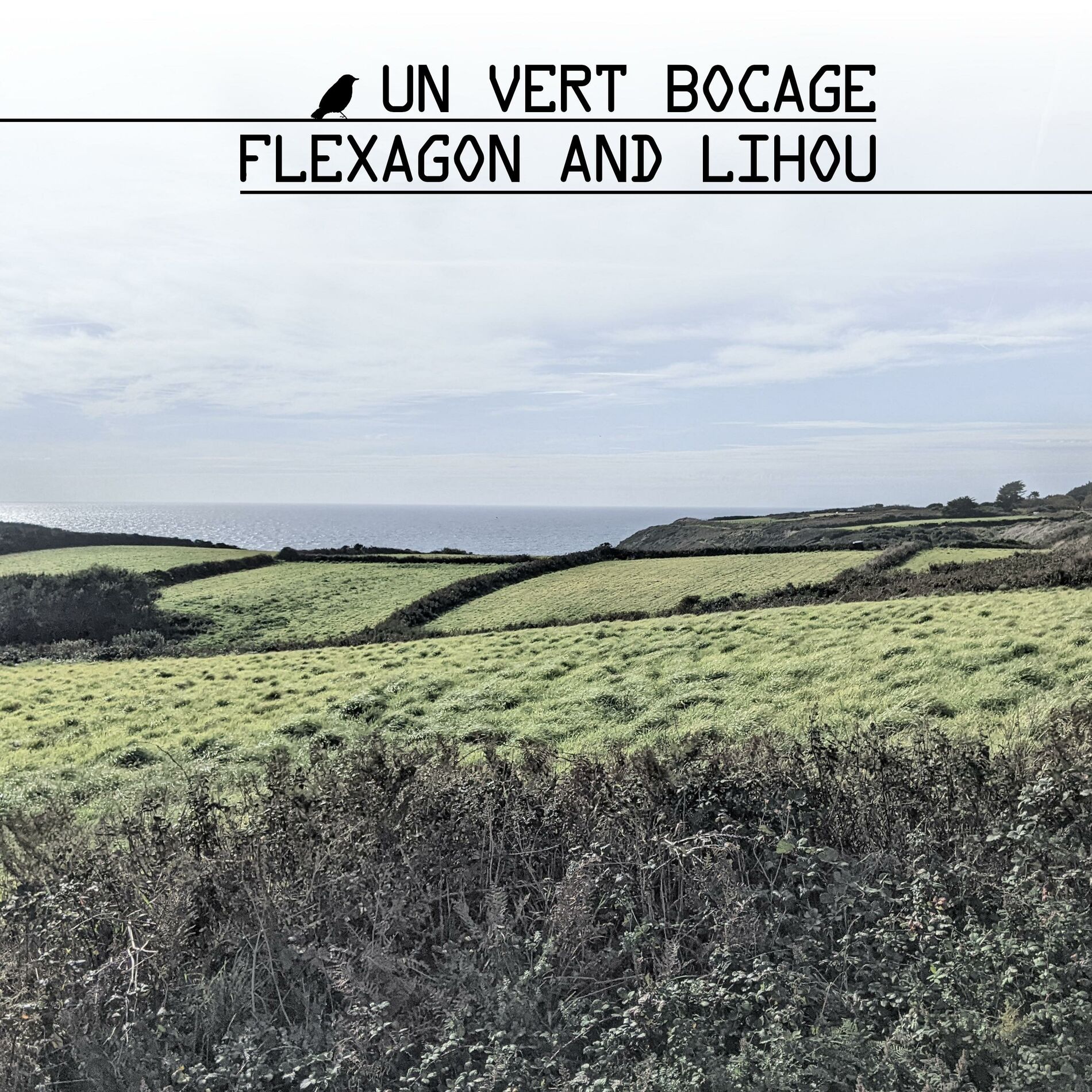 Album cover of Un Vert Bocage