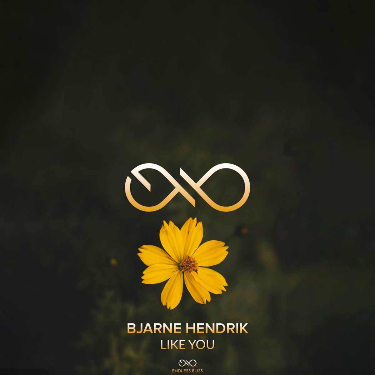 Album cover of Like You