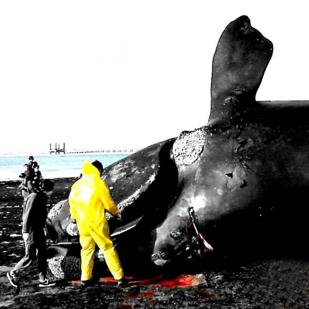 Picture of Out Of The Blue