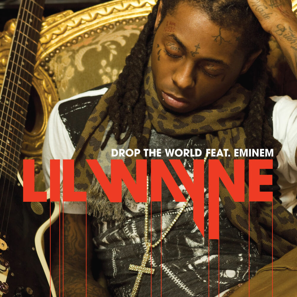 Picture of Drop The World