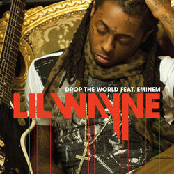 Cover of Drop The World
