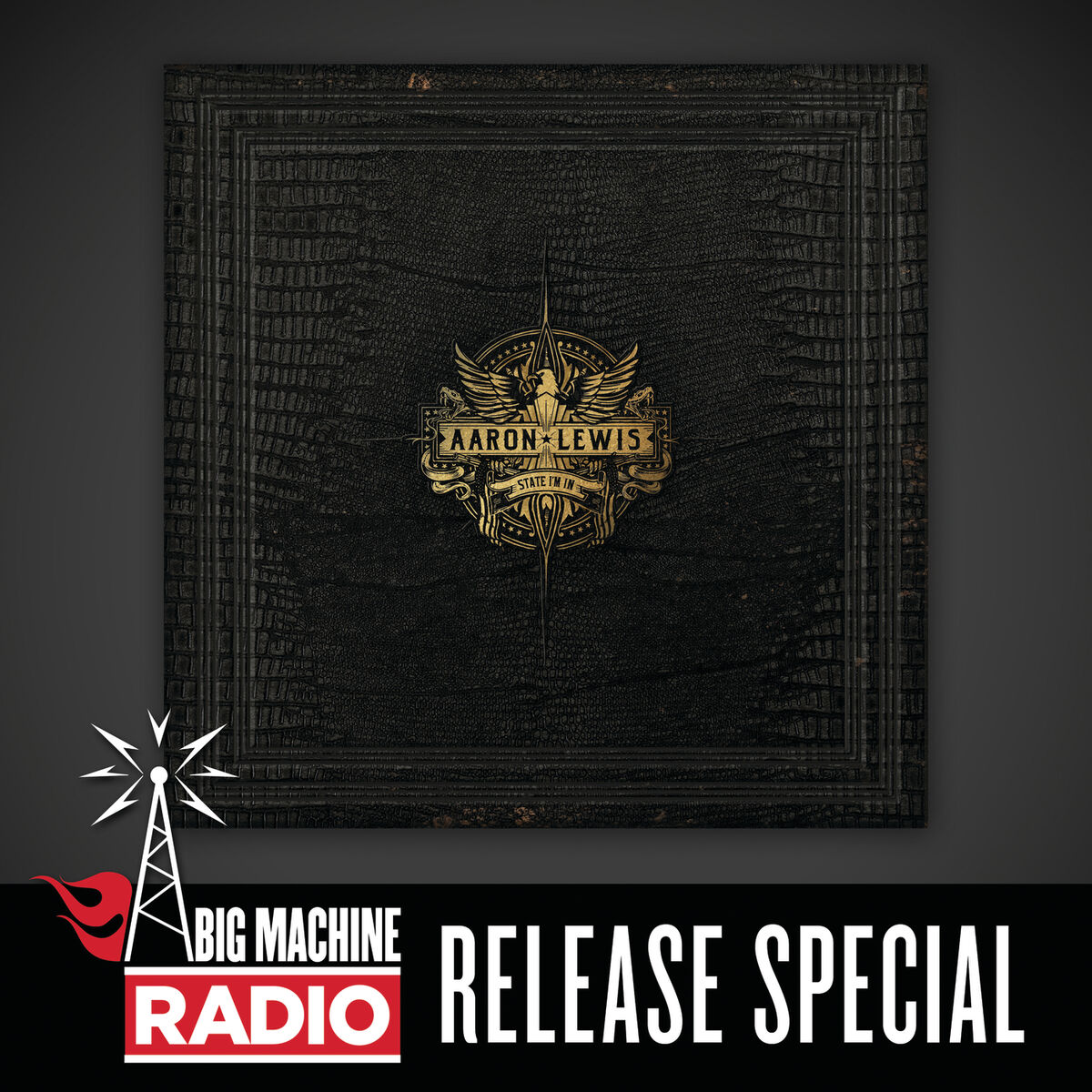 Album cover of State I'm In (Big Machine Radio Release Special)