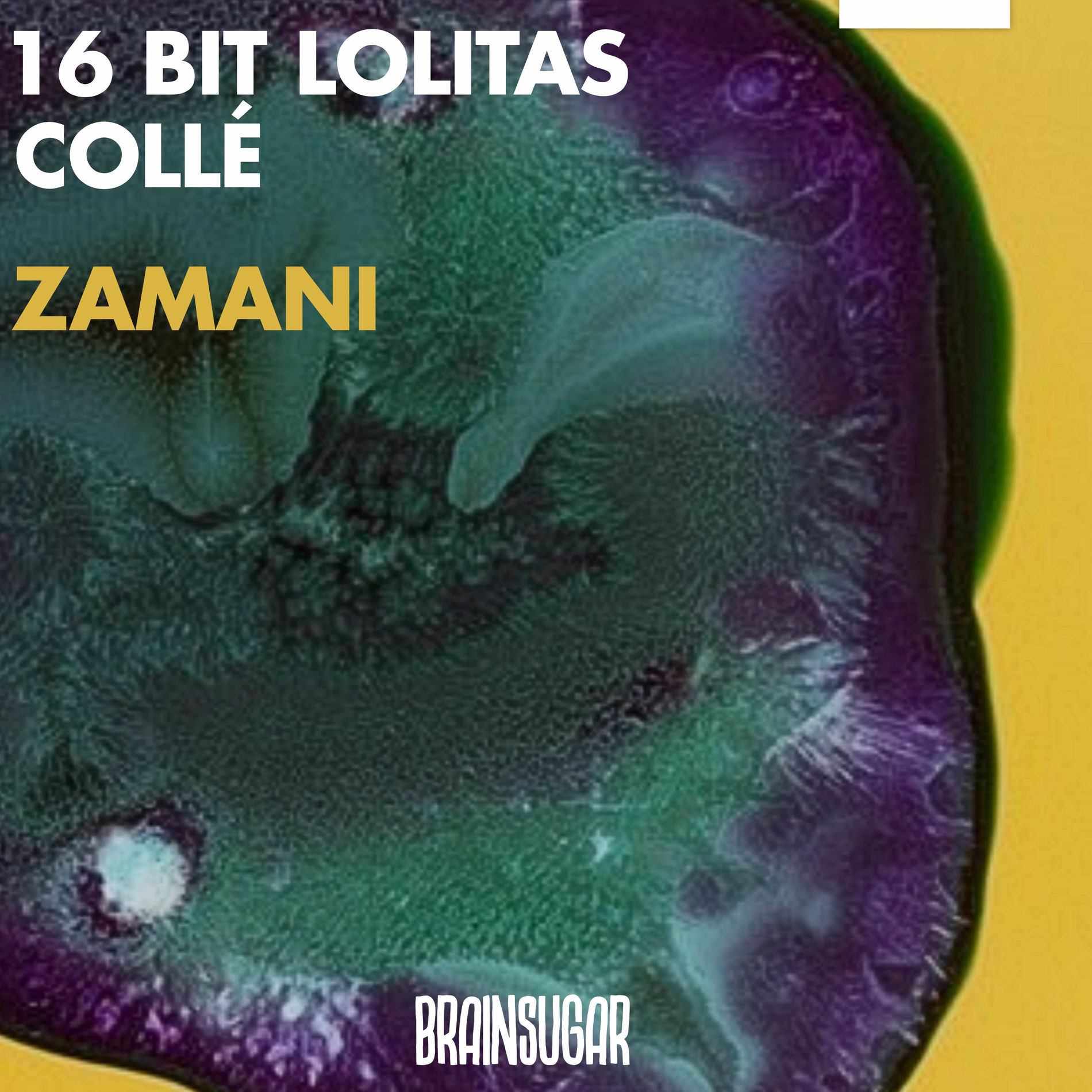 Album cover of Zamani