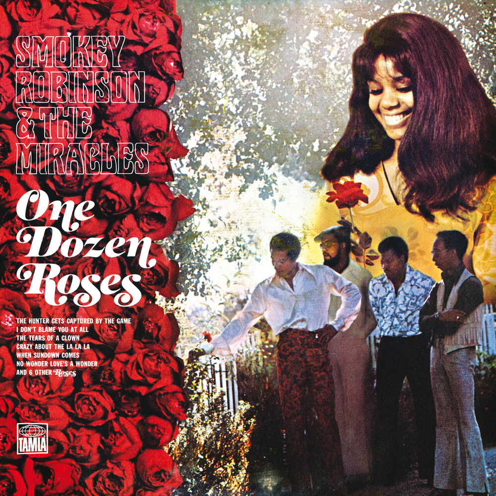 Picture of One Dozen Roses