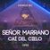 Caí del Cielo