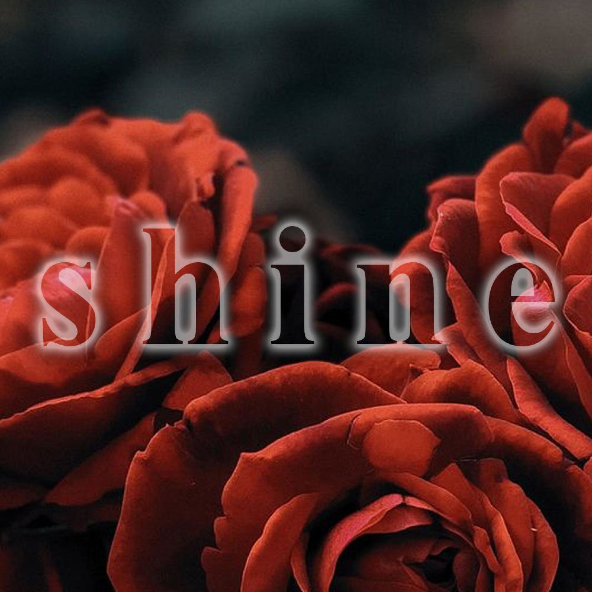 Album cover of Shine