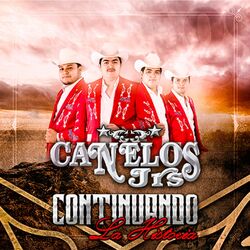Cover of Continuando la Historia