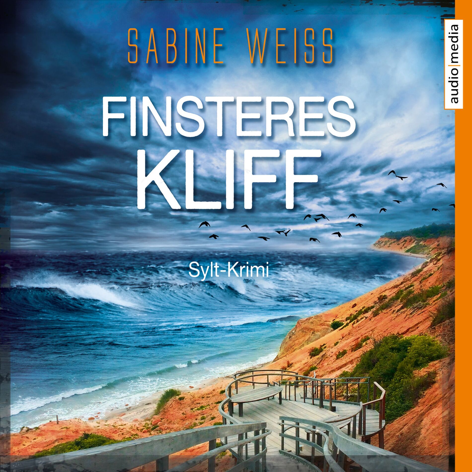 Album cover of Finsteres Kliff