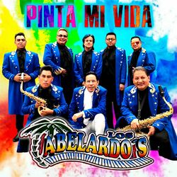 Cover of Pinta Mi Vida