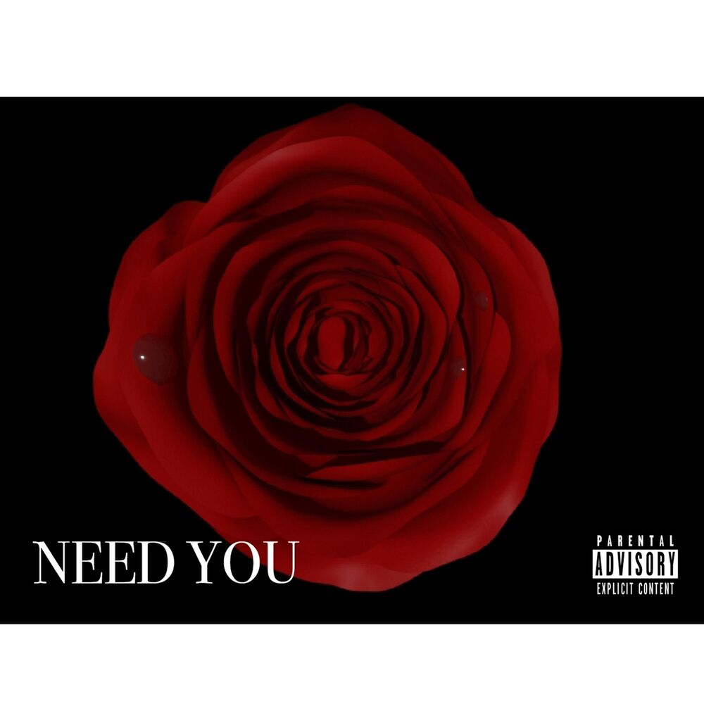Picture of Need You