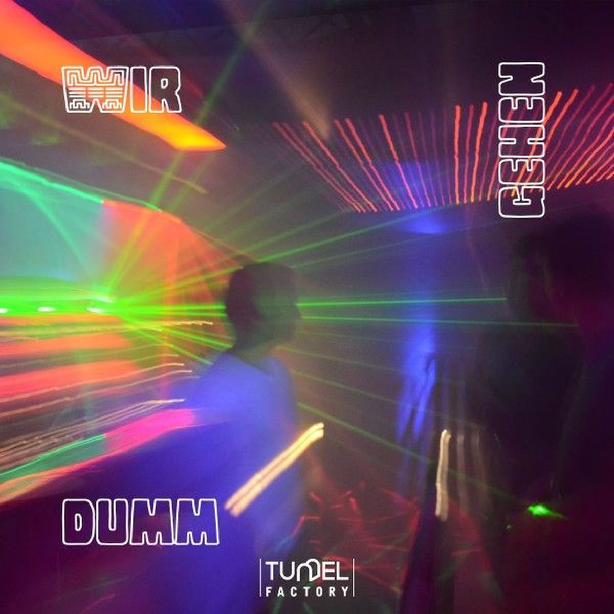 Album cover of Wir gehen dumm