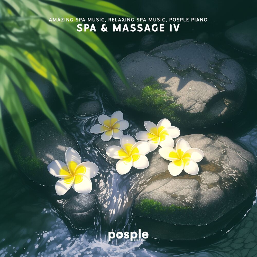 Picture of Spa & Massage IV