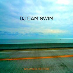 Cover of Swim