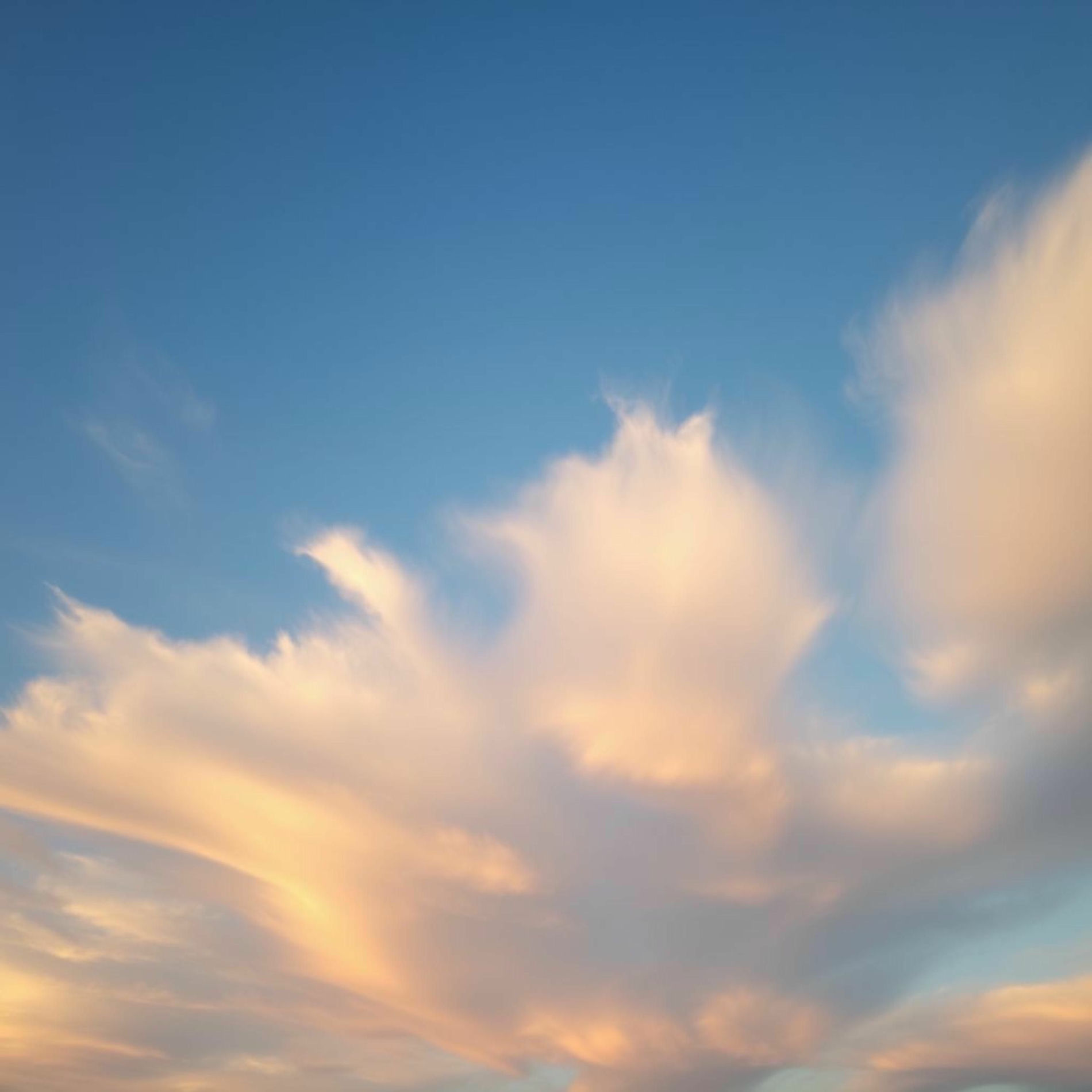 Album cover of Piano In The Clouds
