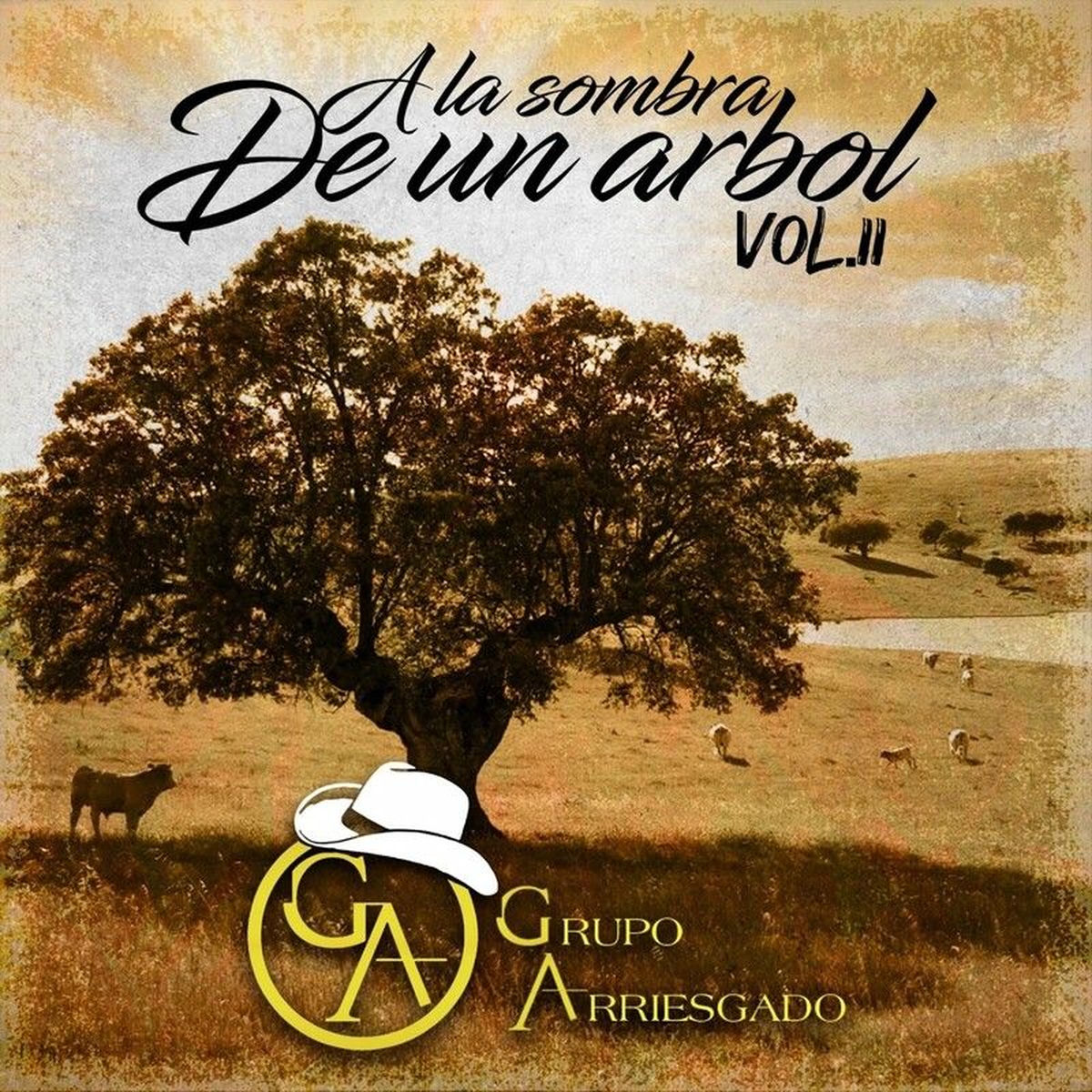 Album cover of A La Sombra De Un Árbol, Vol. 2 (En Vivo)