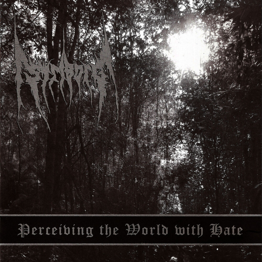 Picture of Perceiving the World With Hate