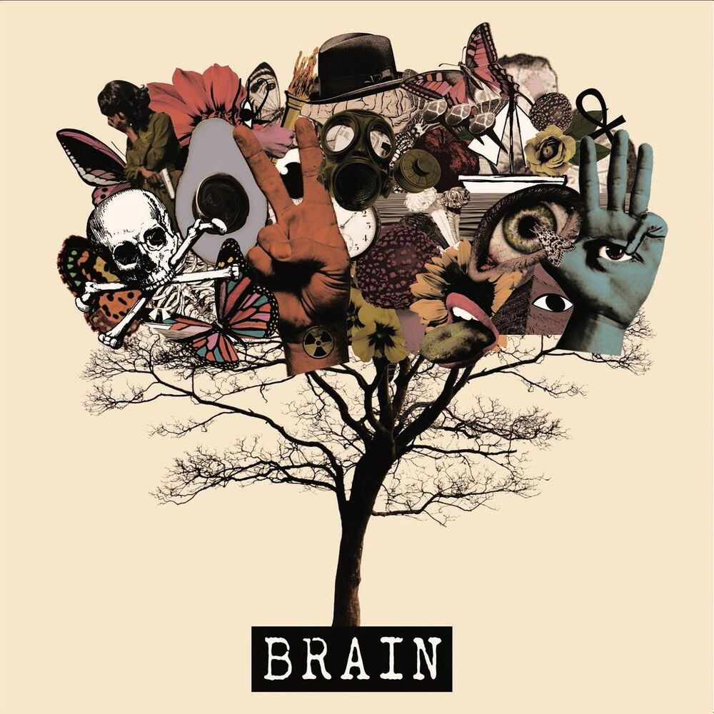 Picture of BRAIN