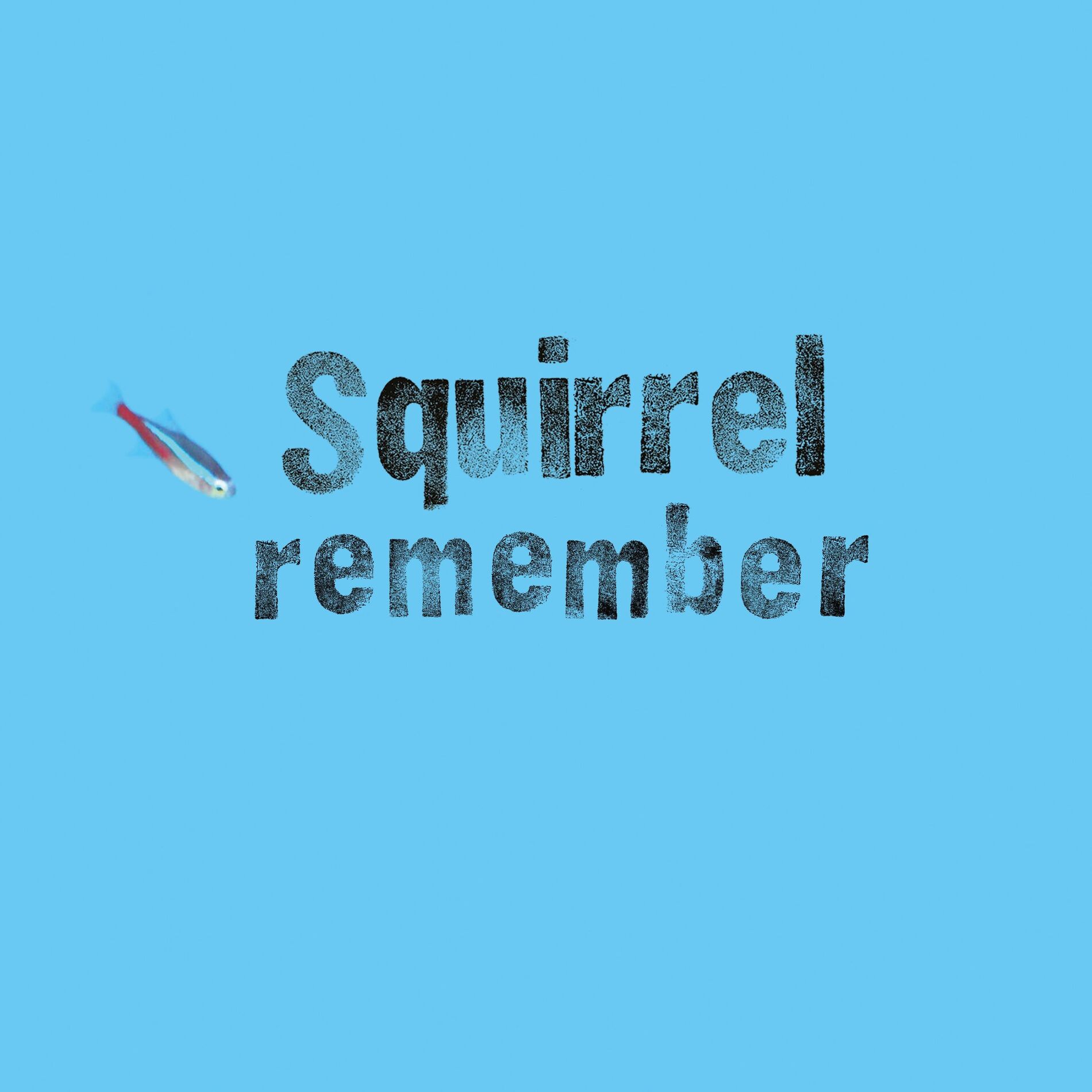 Album cover of Remember