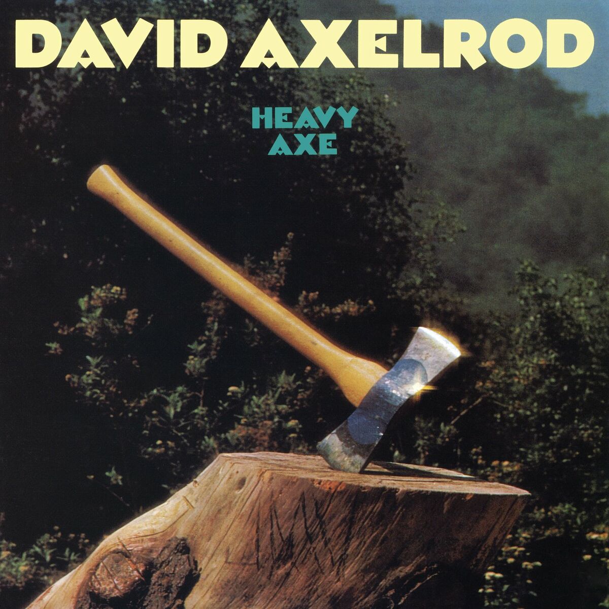 Album cover of Heavy Axe