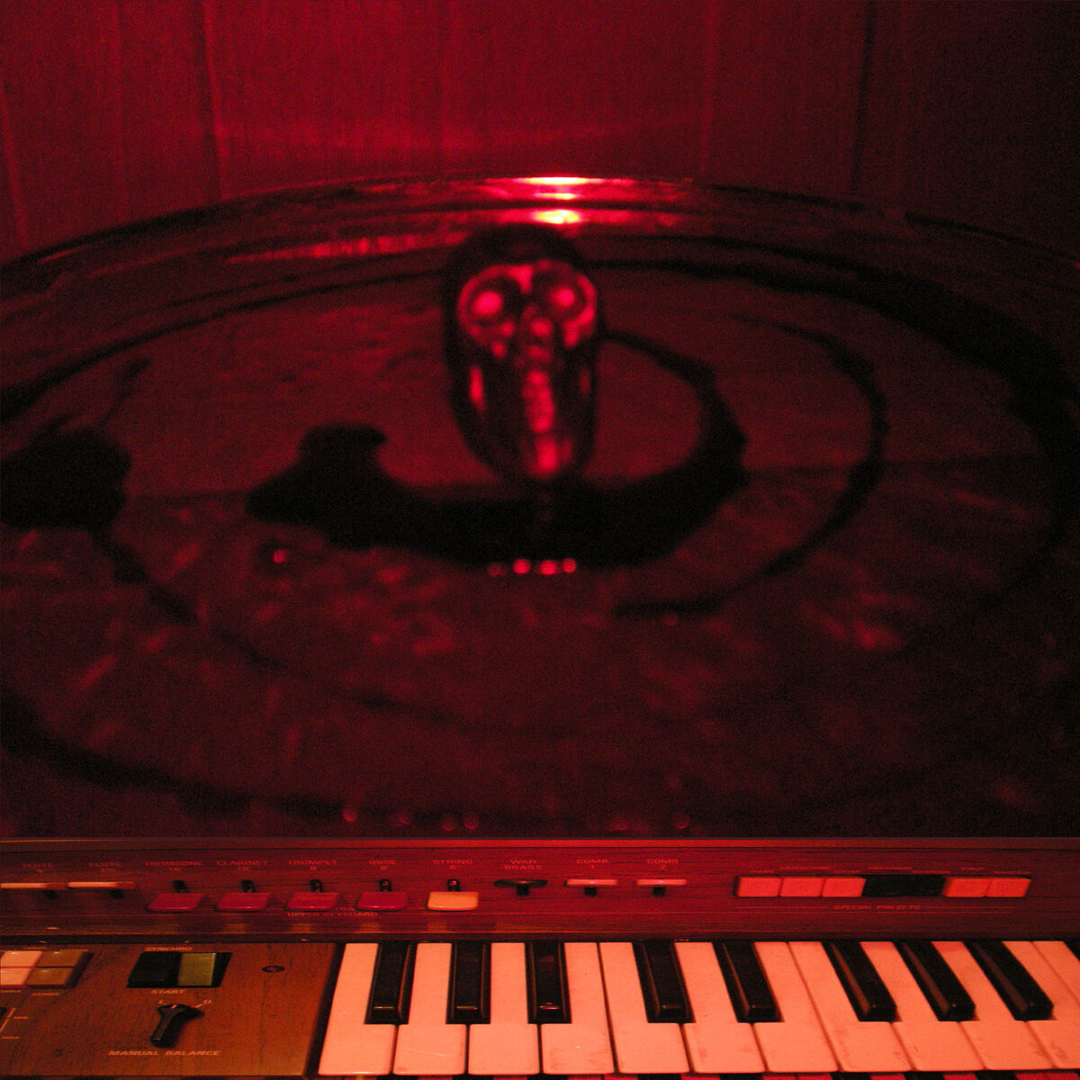 Album cover of Never Know Why