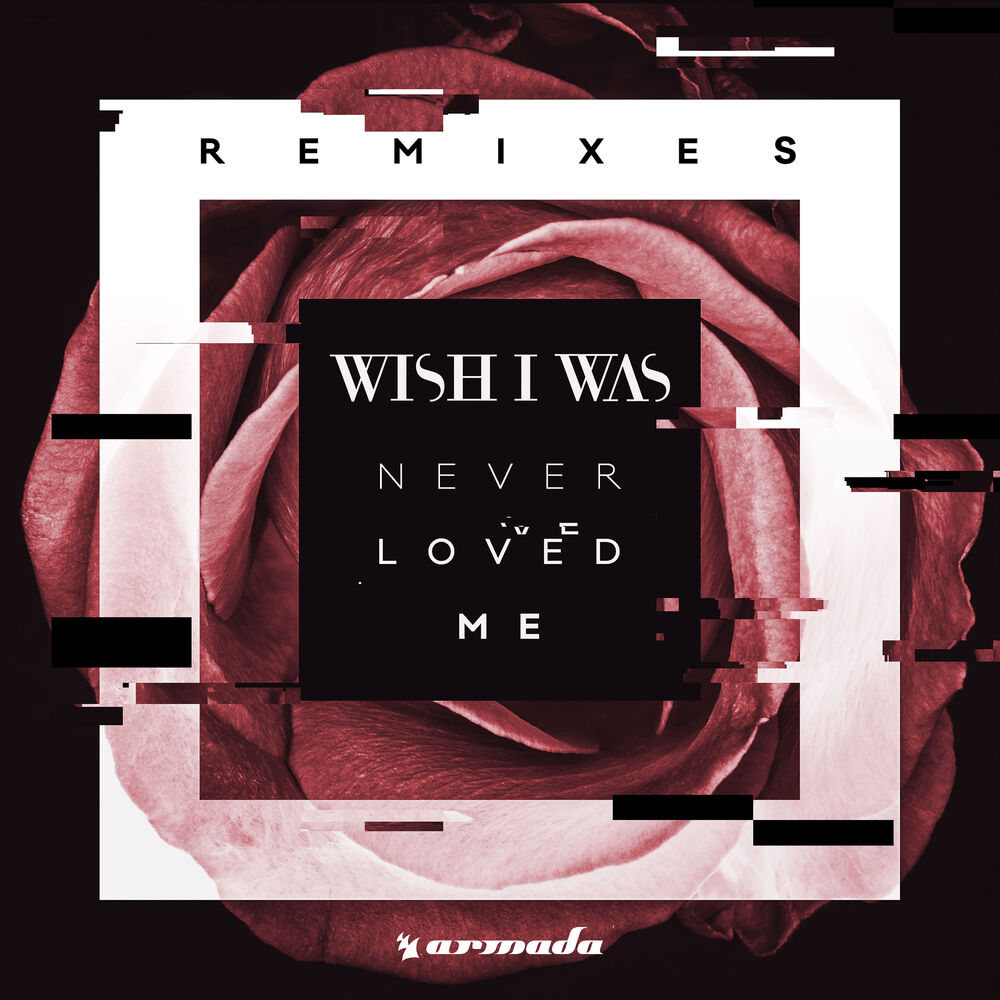 Picture of Never Loved Me (Remixes)