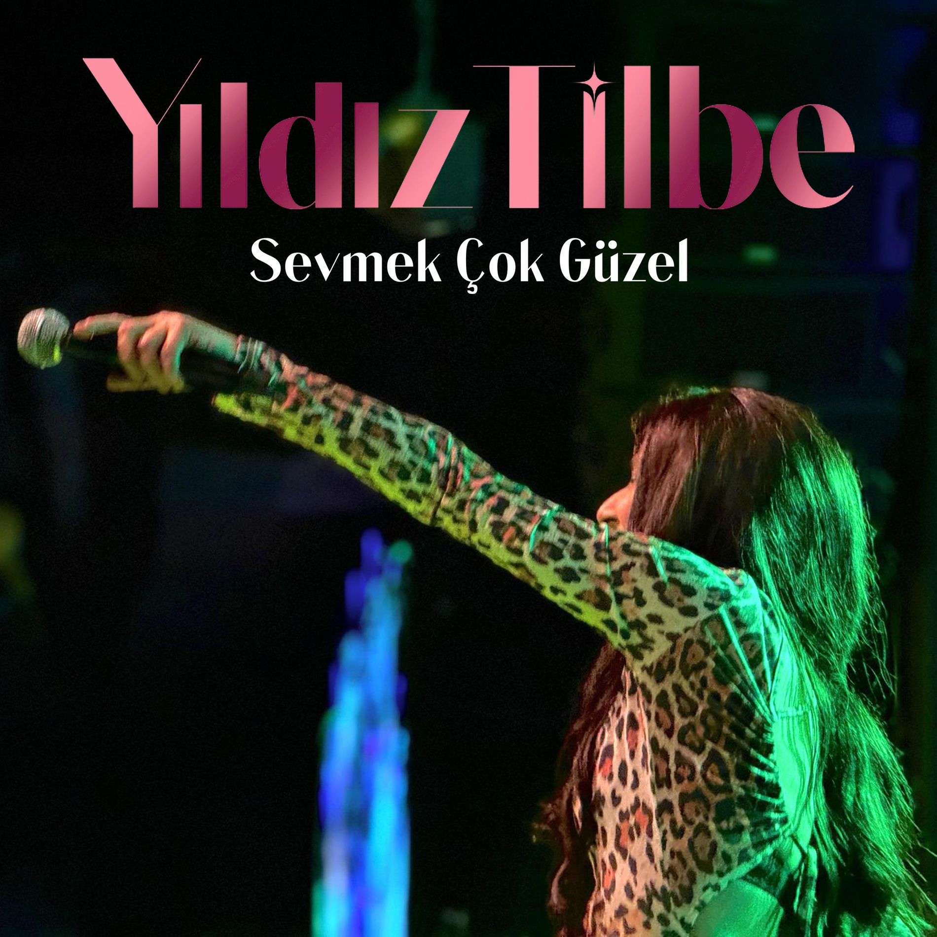 Album cover of Sevmek Çok Güzel