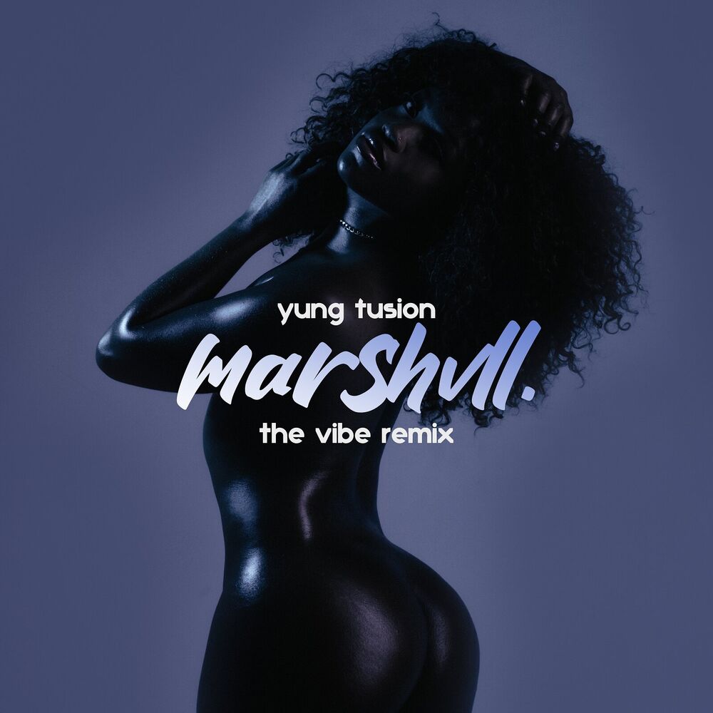 Picture of The Vibe (Remix) [feat. Yung Fusion]