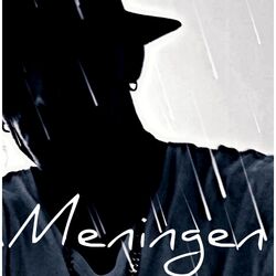 Cover of Meningen