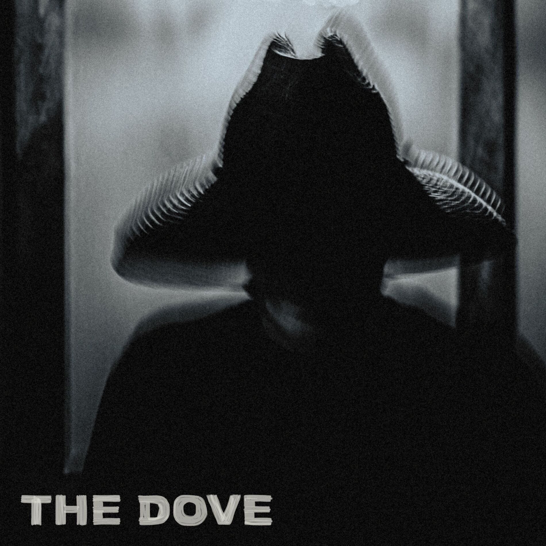 Album cover of The Dove