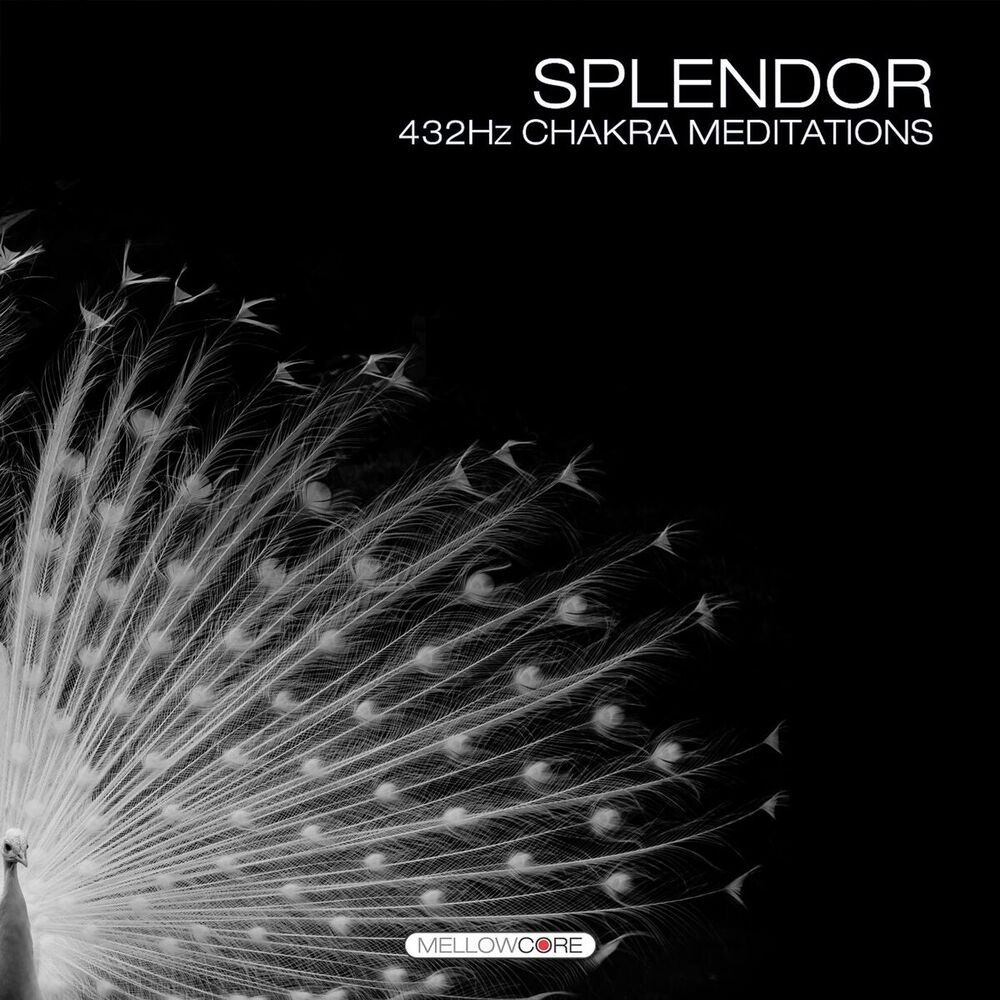 Picture of Splendor (432hz Chakra Meditations)