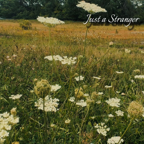 Just a Stranger