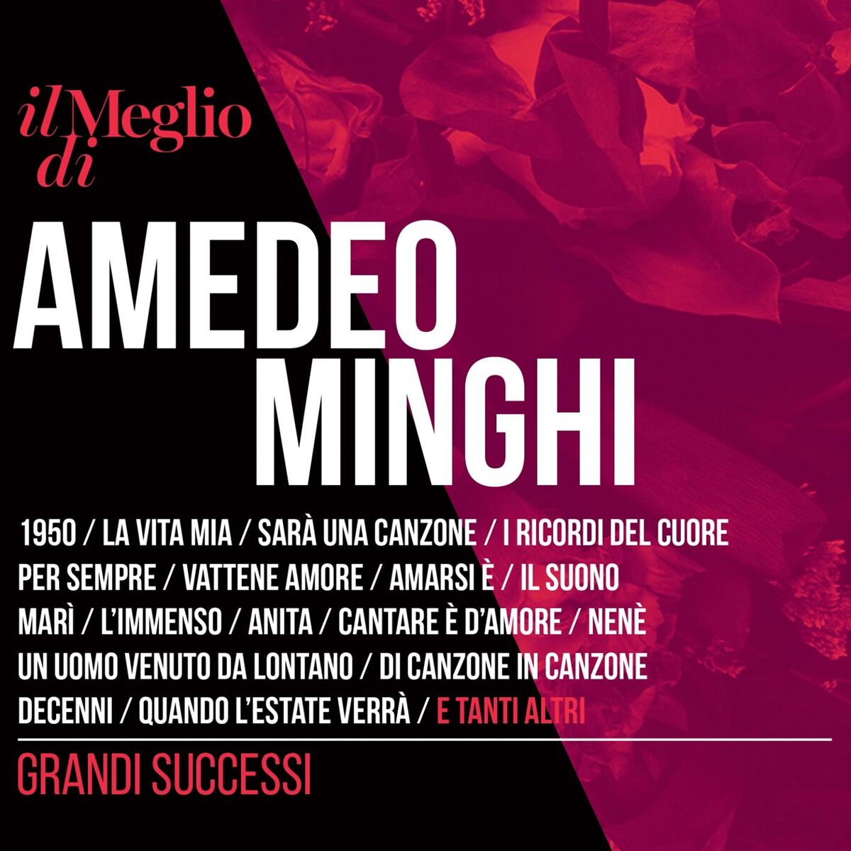 Album cover of Il Meglio Di Amedeo Minghi: Grandi Successi