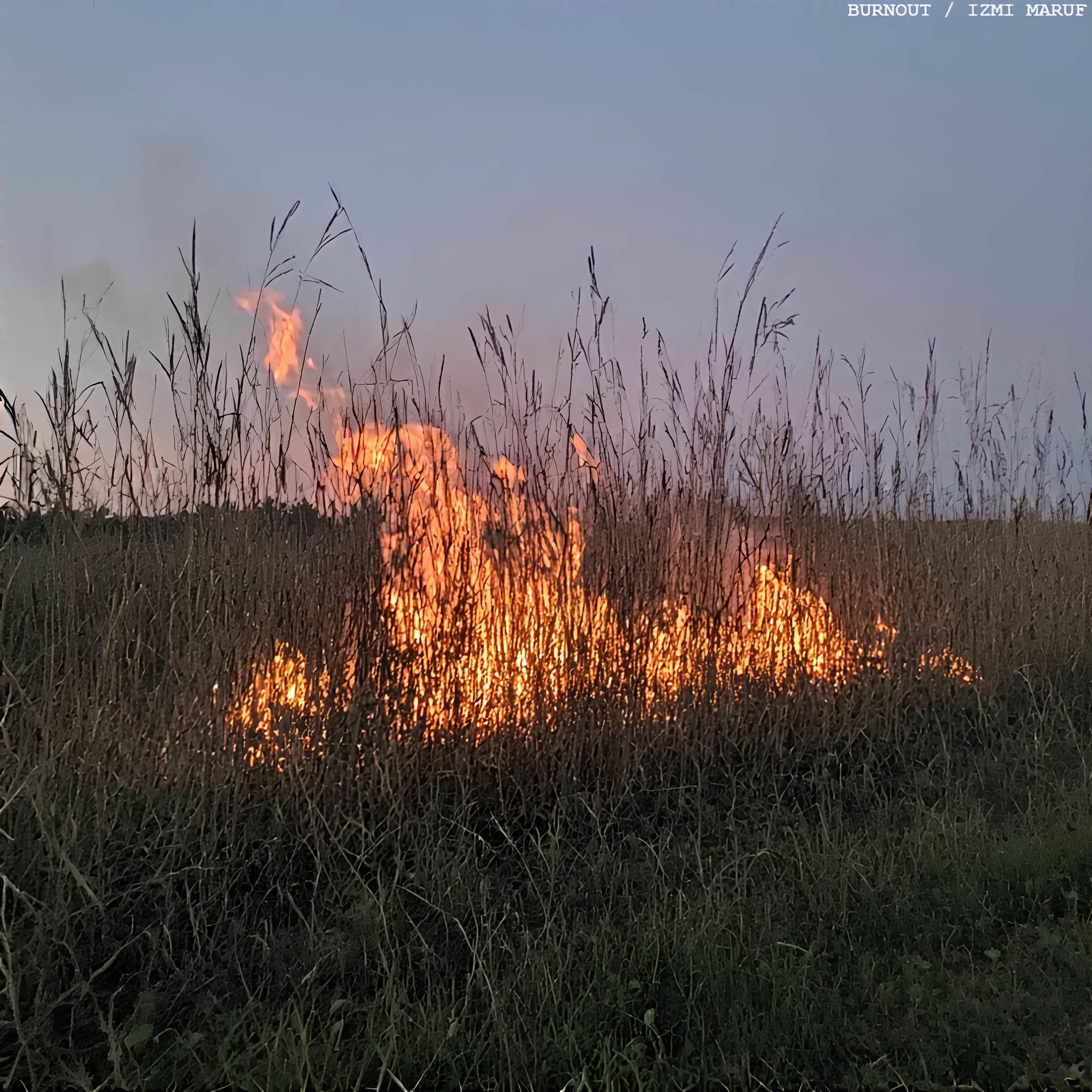 Album cover of Burnout