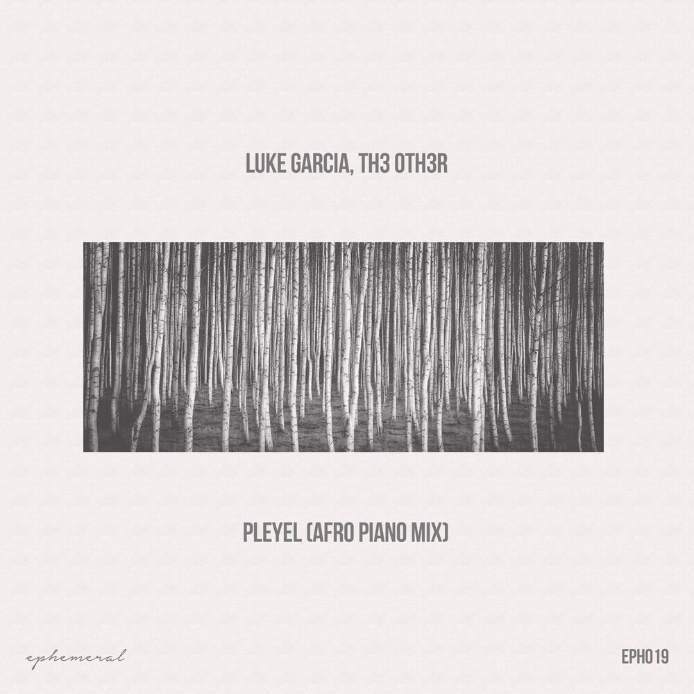 Picture of Pleyel (Afro Piano Edit)