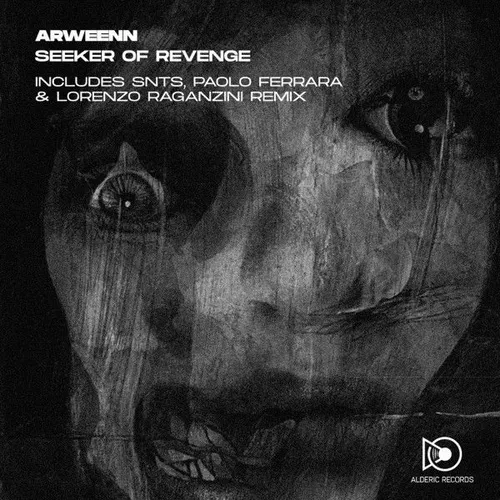 Seeker of Revenge — cover art
