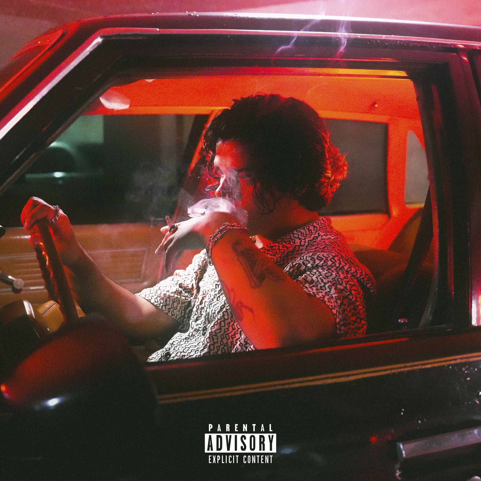Album cover of Animal