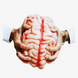 Cover of cross your mind