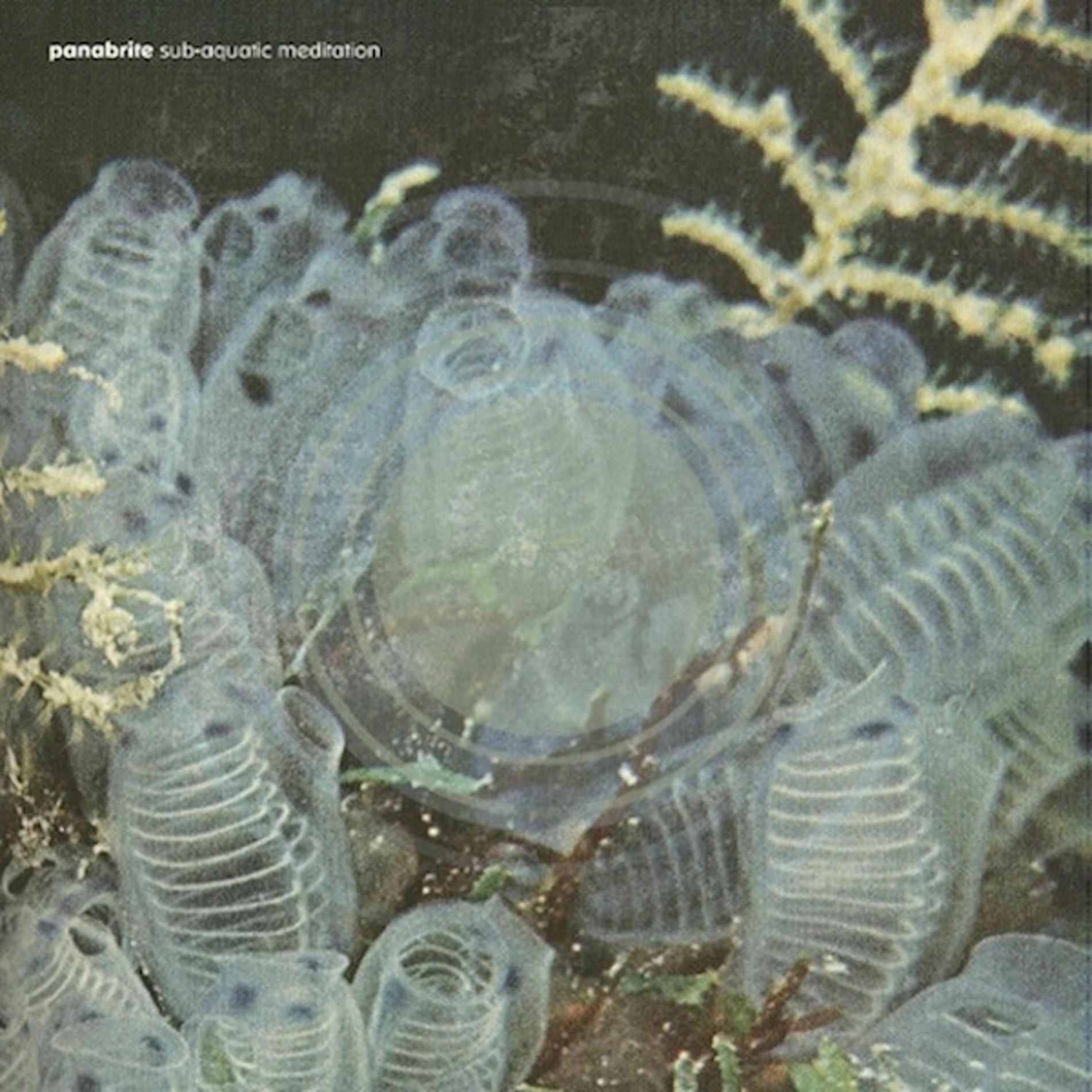Album cover of Sub-Aquatic Meditation