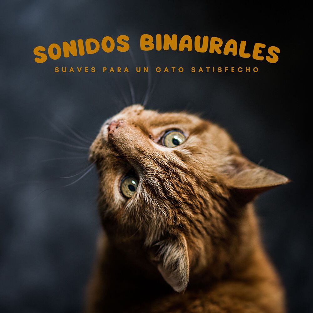 Picture of Sonidos Binaurales Suaves Para Un Gato Satisfecho