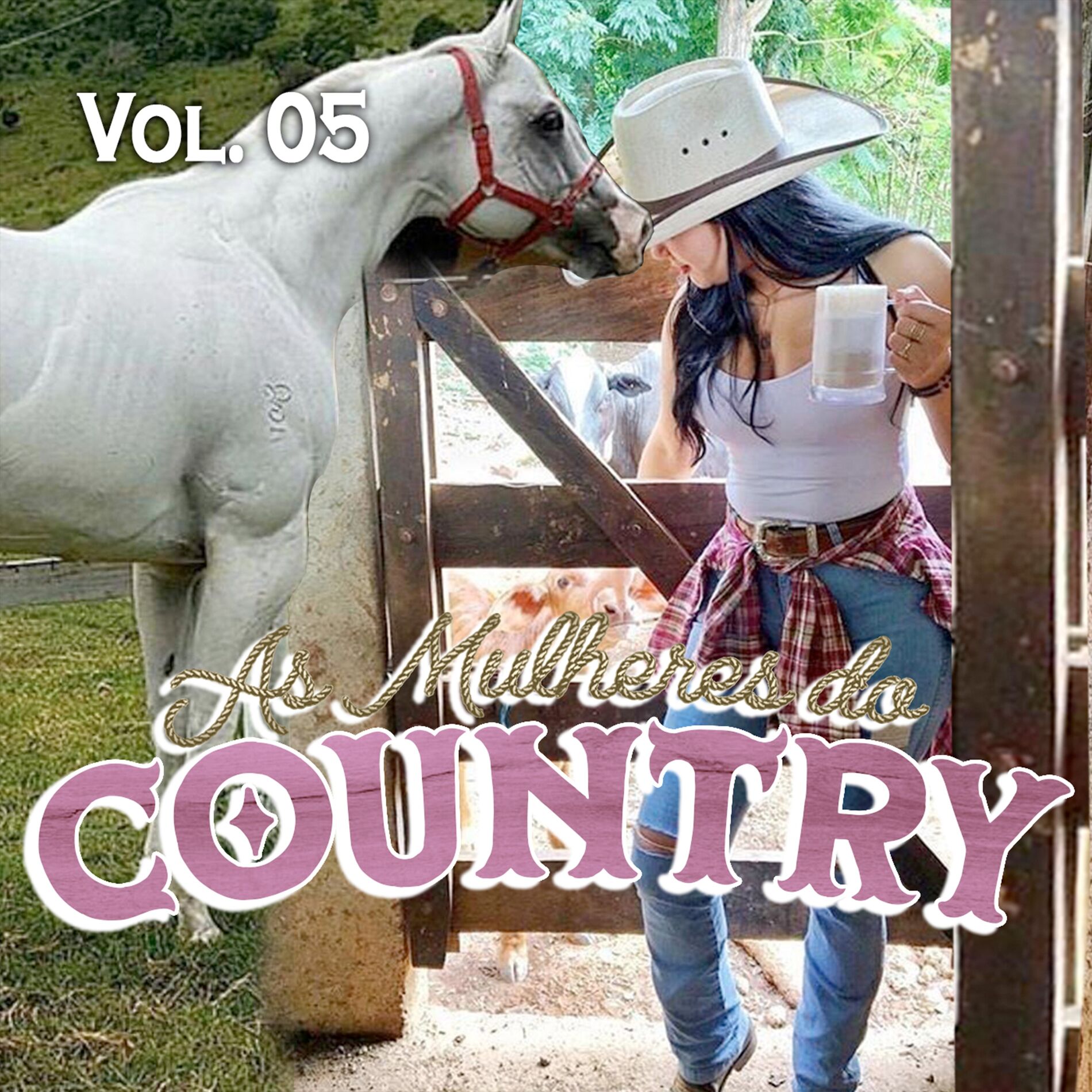 Album cover of As Mulheres do Country, Vol. 05