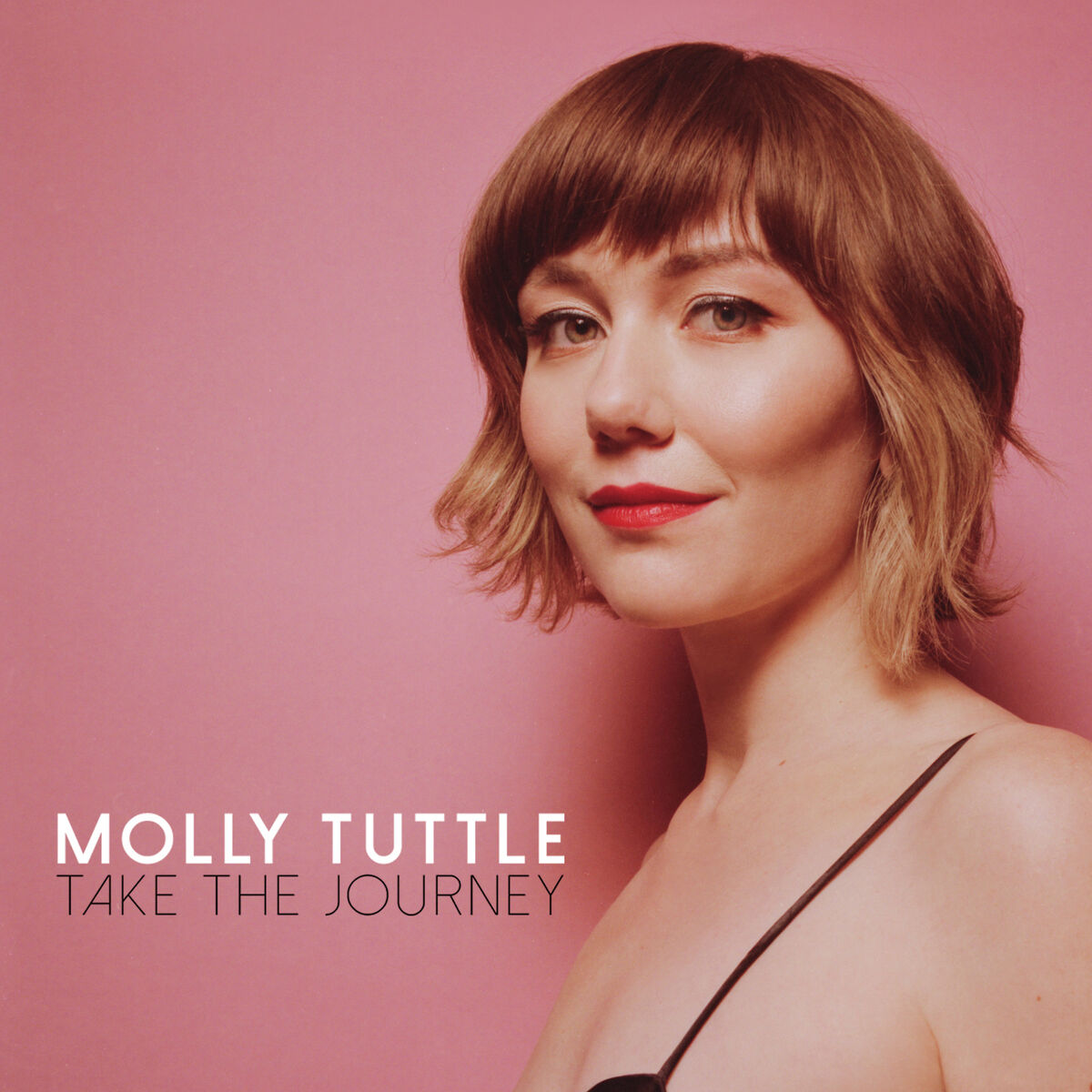 Album cover of Take The Journey