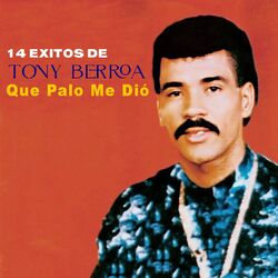 Cover of 14 Exitos, Que Palo Me Dio