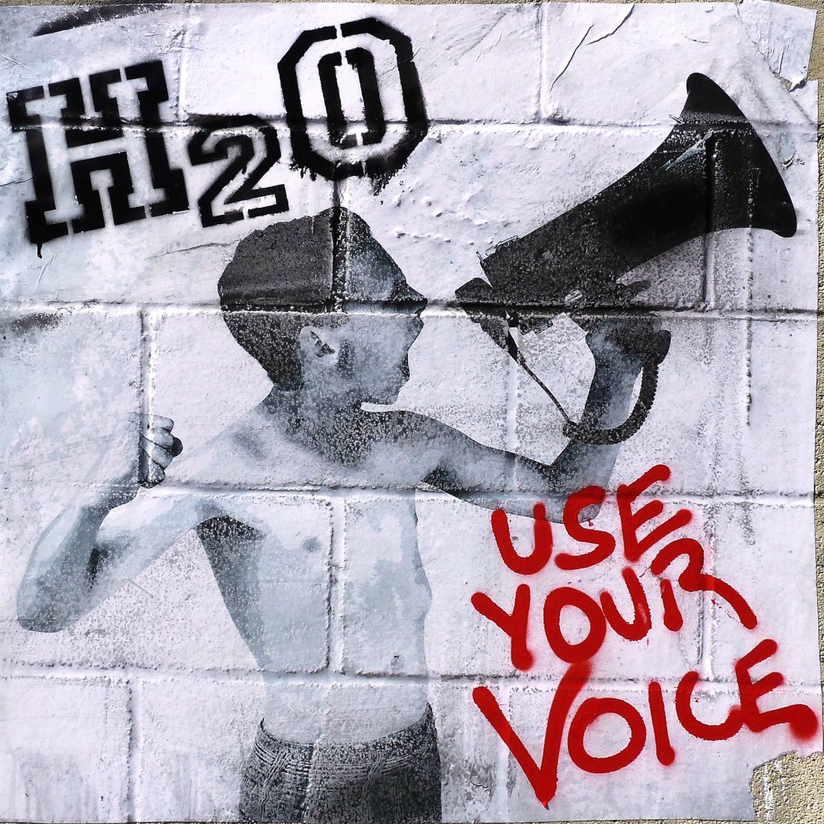 Album cover of Use Your Voice