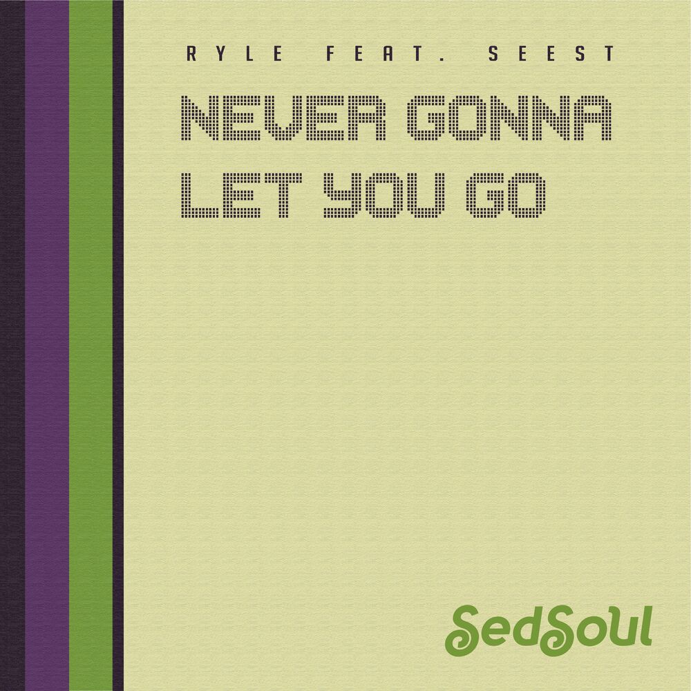 Picture of Never Gonna Let You Go