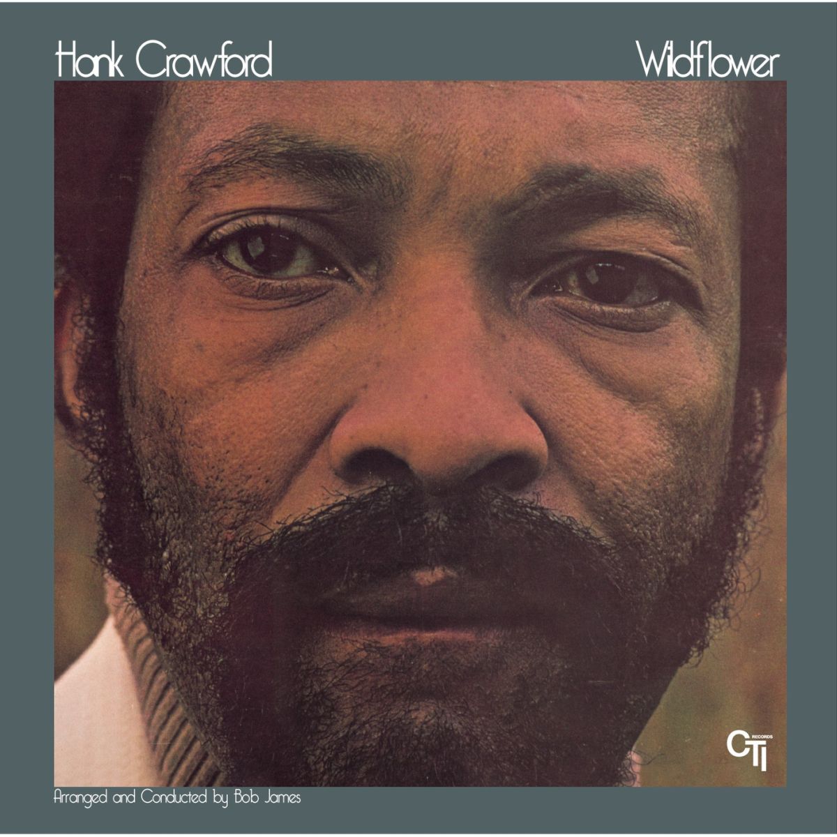 Album cover of Wildflower