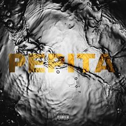 Cover of PEPITA