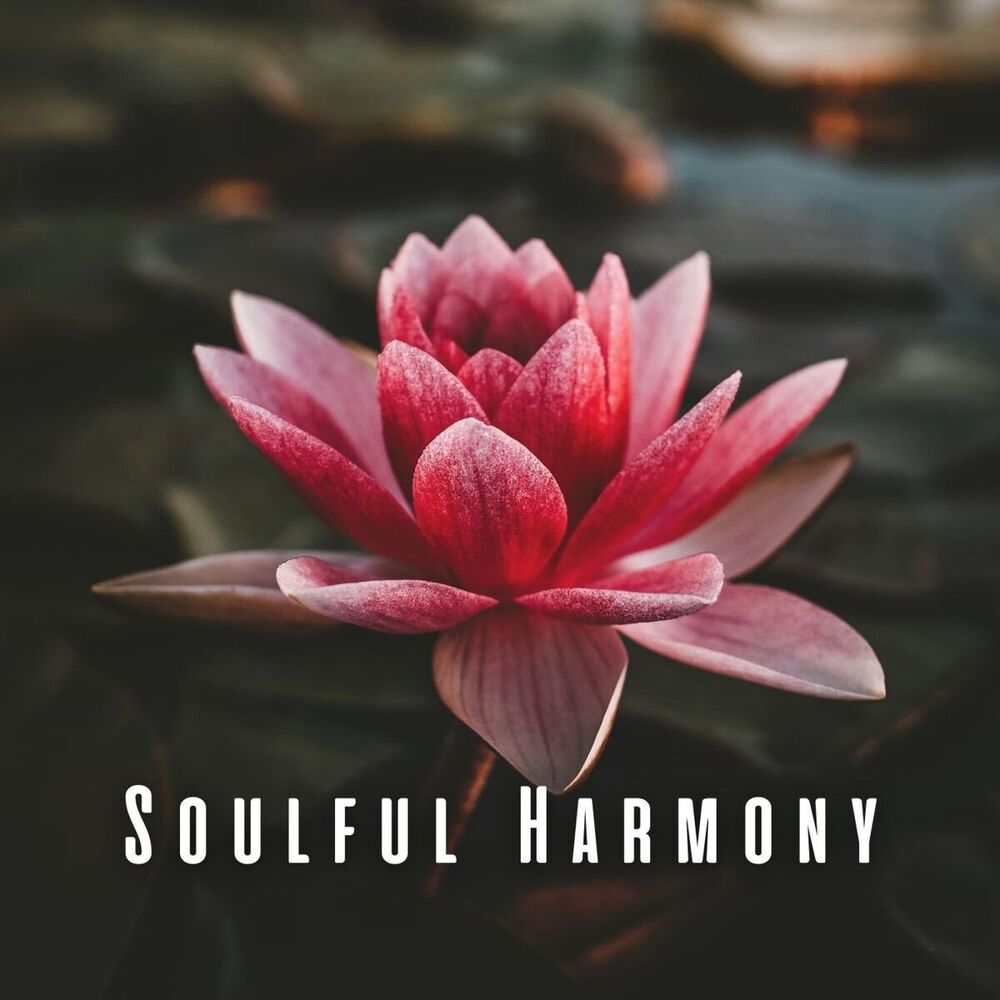 Picture of Soulful Harmony: Binaural Music and Meditation