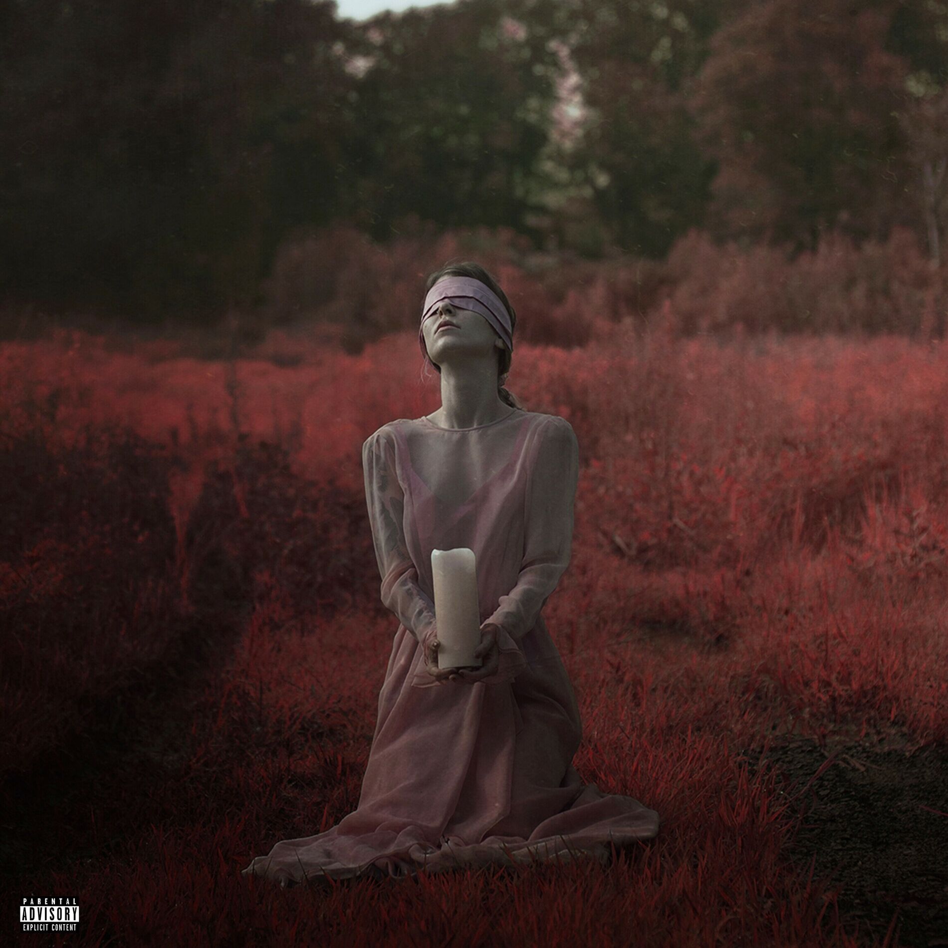 Album cover of Chasing Shadows (Feat. Brandon Saller of Atreyu)