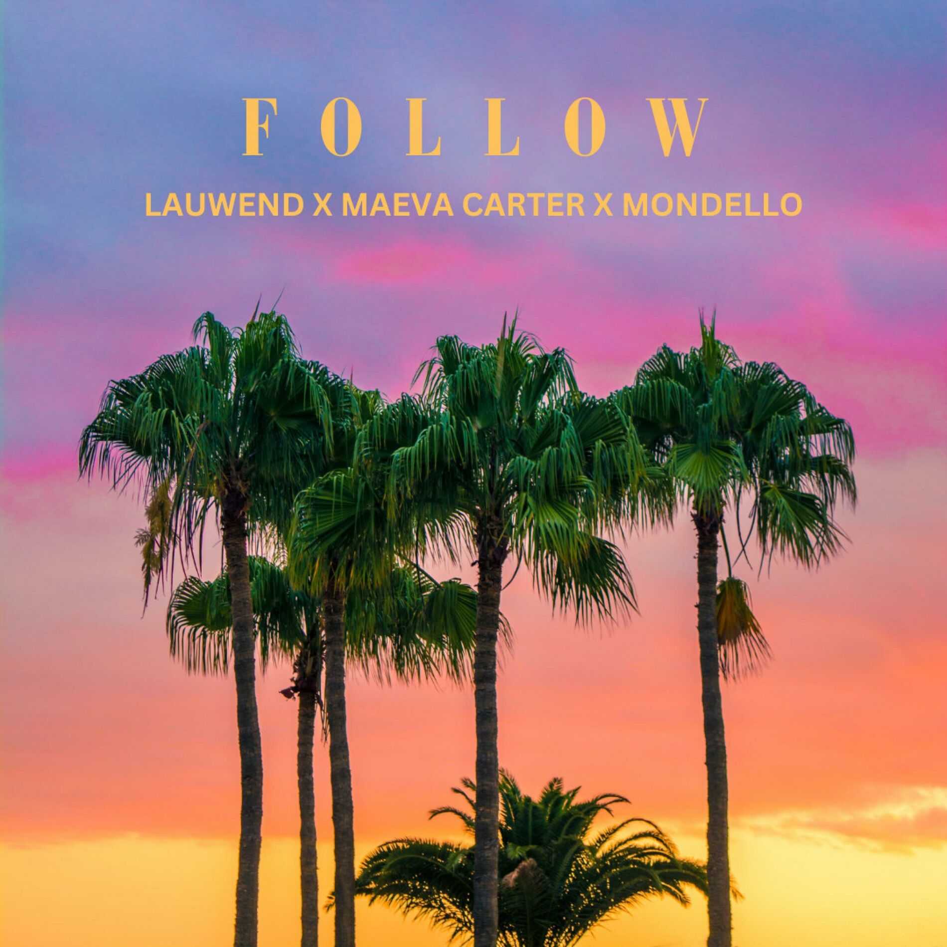 Album cover of Follow (feat. Lauwend)