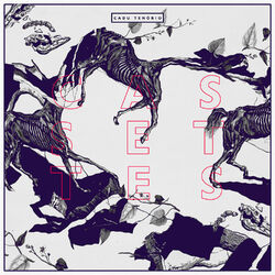 Cover of Cassettes